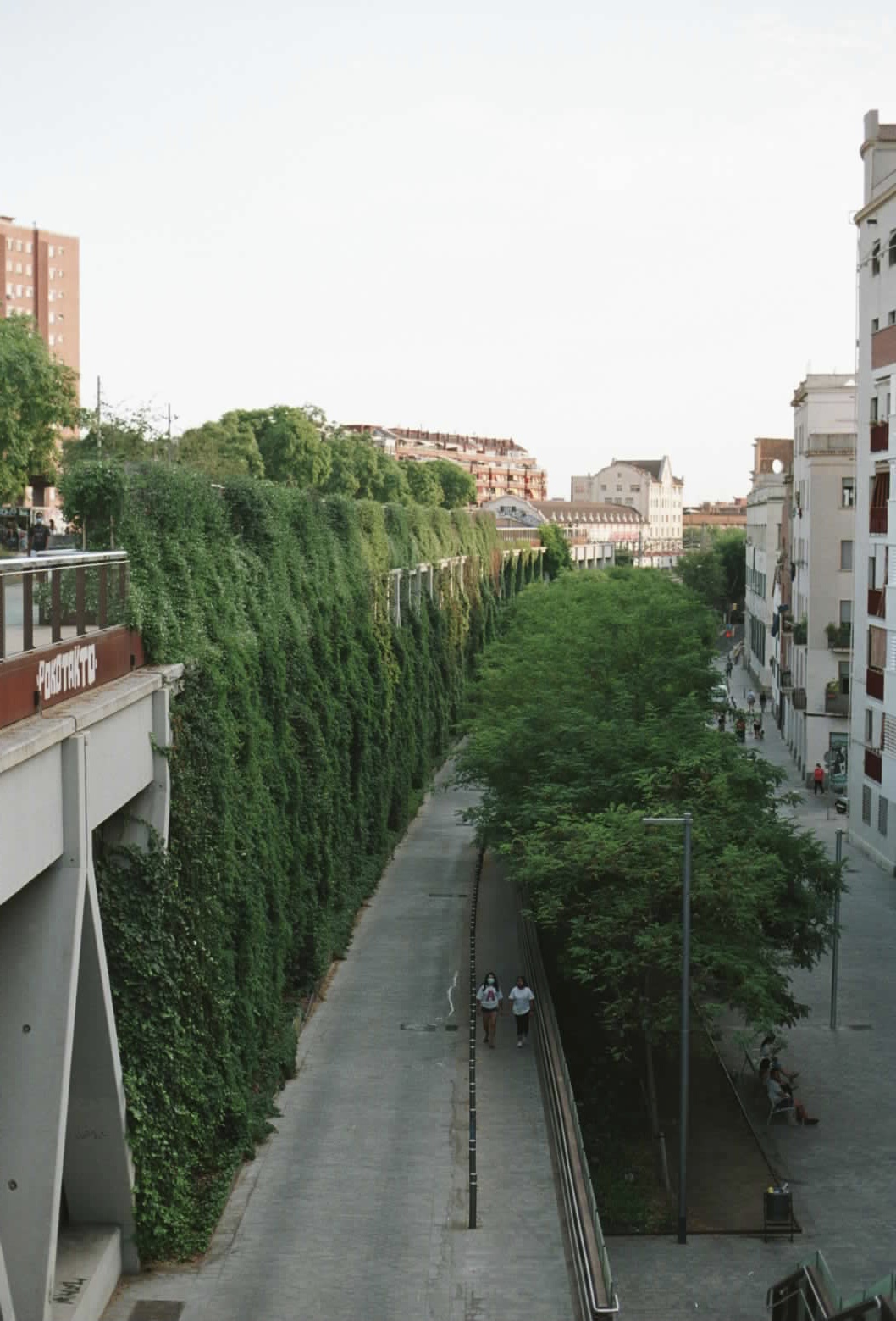 BCN6